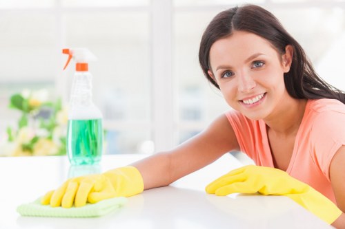 Professional sofa cleaning service for Richmond homes and businesses