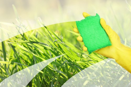 Oven cleaning service in Richmond for a domestic kitchen appliance