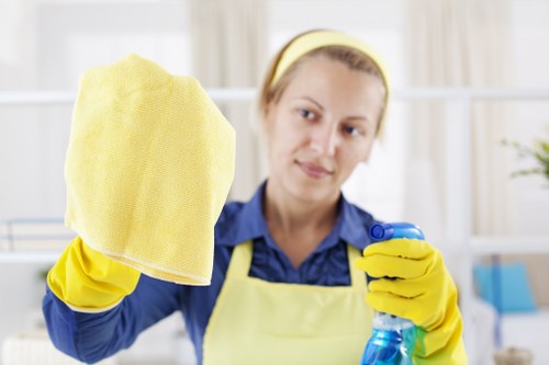 Professional window cleaning for Richmond homes and businesses