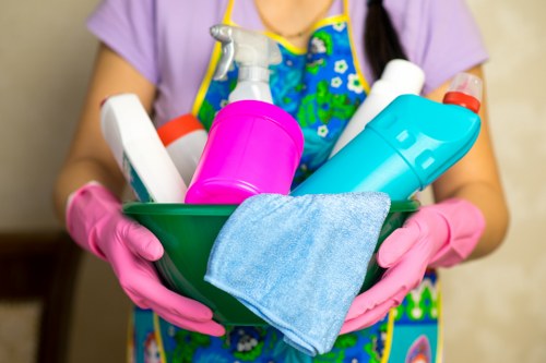 Professional home cleaning service for Richmond properties