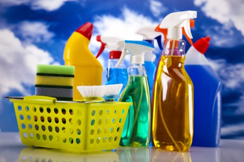 Domestic cleaner working in a Richmond kitchen and living space