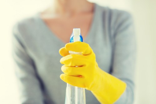 Cleaner preparing safe oven cleaning equipment before work begins