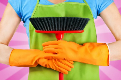 Professional oven cleaning service for Richmond homes