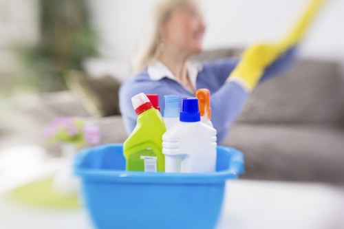 Carpet cleaning appointment preparation in a Richmond flat