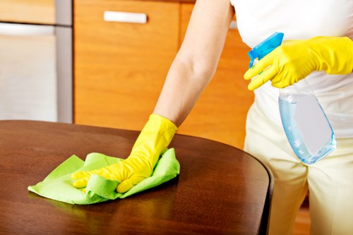 Deep cleaning tasks for bathrooms and kitchens in Richmond
