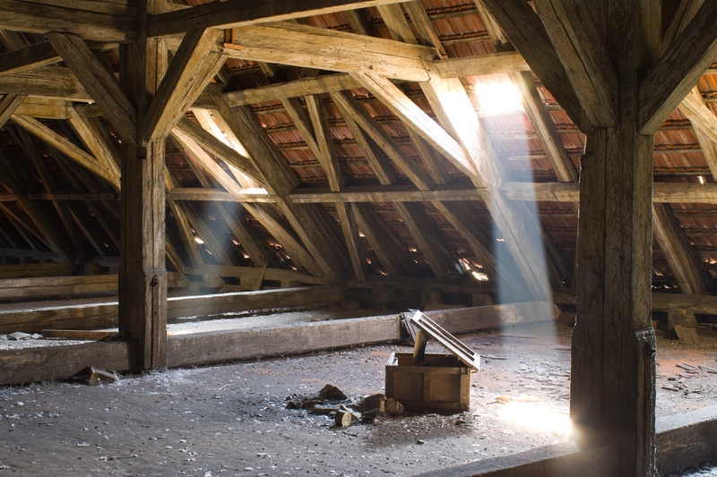 Uncovering the Beauty of Richmond: An Insider's View